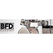 FXPansion/Cocktail【～05/04 期間限定特価キャンペーン】【オンライン納品】【BFD拡張】