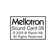 Mellotron/Sound Card 08