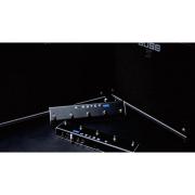 XSONIC/AIRSTEP Kat EX EDITION