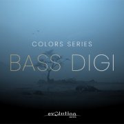 EVOLUTION SERIES/WORLD COLORS BASS DIZI【オンライン納品】【在庫あり】