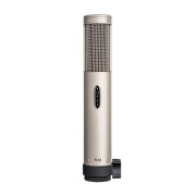 Royer Labs/R-12【在庫あり】