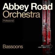 SPITFIRE AUDIO/Abbey Road Orchestra: Bassoons Professional【オンライン納品】【在庫あり】