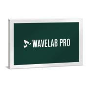 Steinberg/WAVELAB PRO 13 通常版【オンライン納品】【在庫あり】