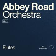 SPITFIRE AUDIO/ABBEY ROAD ORCHESTRA: FLUTES CORE【オンライン納品】【在庫あり】