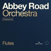 SPITFIRE AUDIO/ABBEY ROAD ORCHESTRA: FLUTES PROFESSIONAL【オンライン納品】【在庫あり】