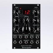 Erica Synths/Black Hole DSP 2【WTG】【在庫あり】