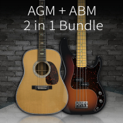 AMPLE SOUND/AGM + ABP 2 in 1 Bundle【～08/31 期間限定特価キャンペーン】【オンライン納品】【在庫あり】