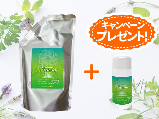 プアーナ500ml詰替用