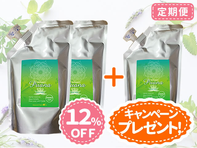 プアーナ定期便2袋コース