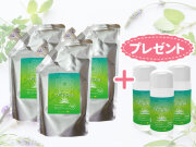 プアーナ500ml詰替用3袋セット