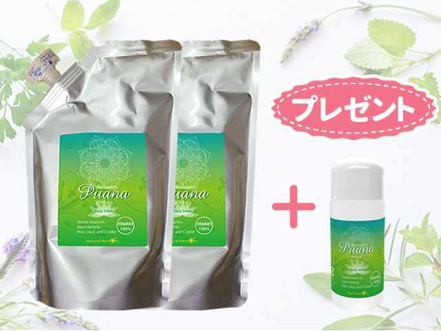 プアーナ500ml詰替用2袋セット