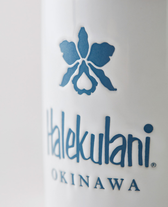 Halekulani ペアグラス ハレクラニロゴ付き Halekulani ペアグラス ハレクラニロゴ付き