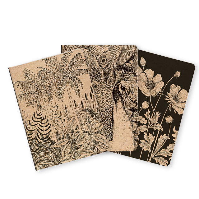 cf116037.jpg?t=20240626123911