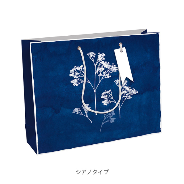 2点以上で10％OFF対象】ペーパーバッグ Lサイズ クオバディス