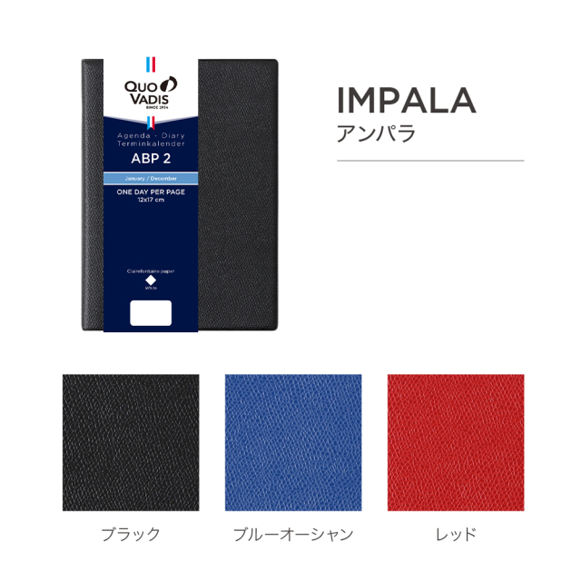 【現物出品・レア種特大株】ビカクシダ・アプラス（APLUS）（aplus）親株 現物出品・レア種特大株】ビカクシダ・アプラス（APLUS）（aplus）親株