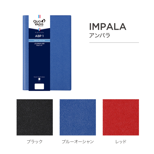 2026年1月始まり版】ABP1 エービーピー1 クオバディス・ジャパン