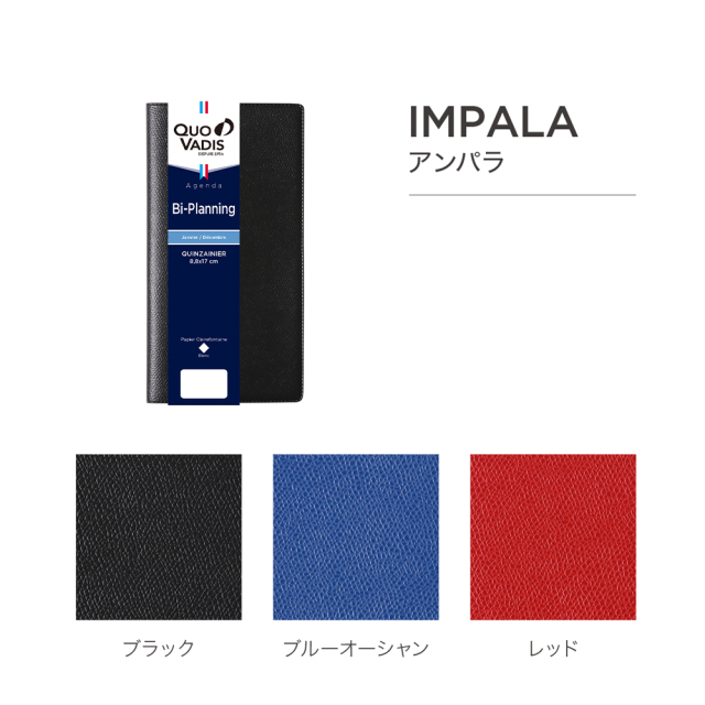 ピノチオ　クモハ11 クハ16専用出品 Yahoo!オークション - ピノチオ模型 クモハ11 クハ16 車体生地完成品 H