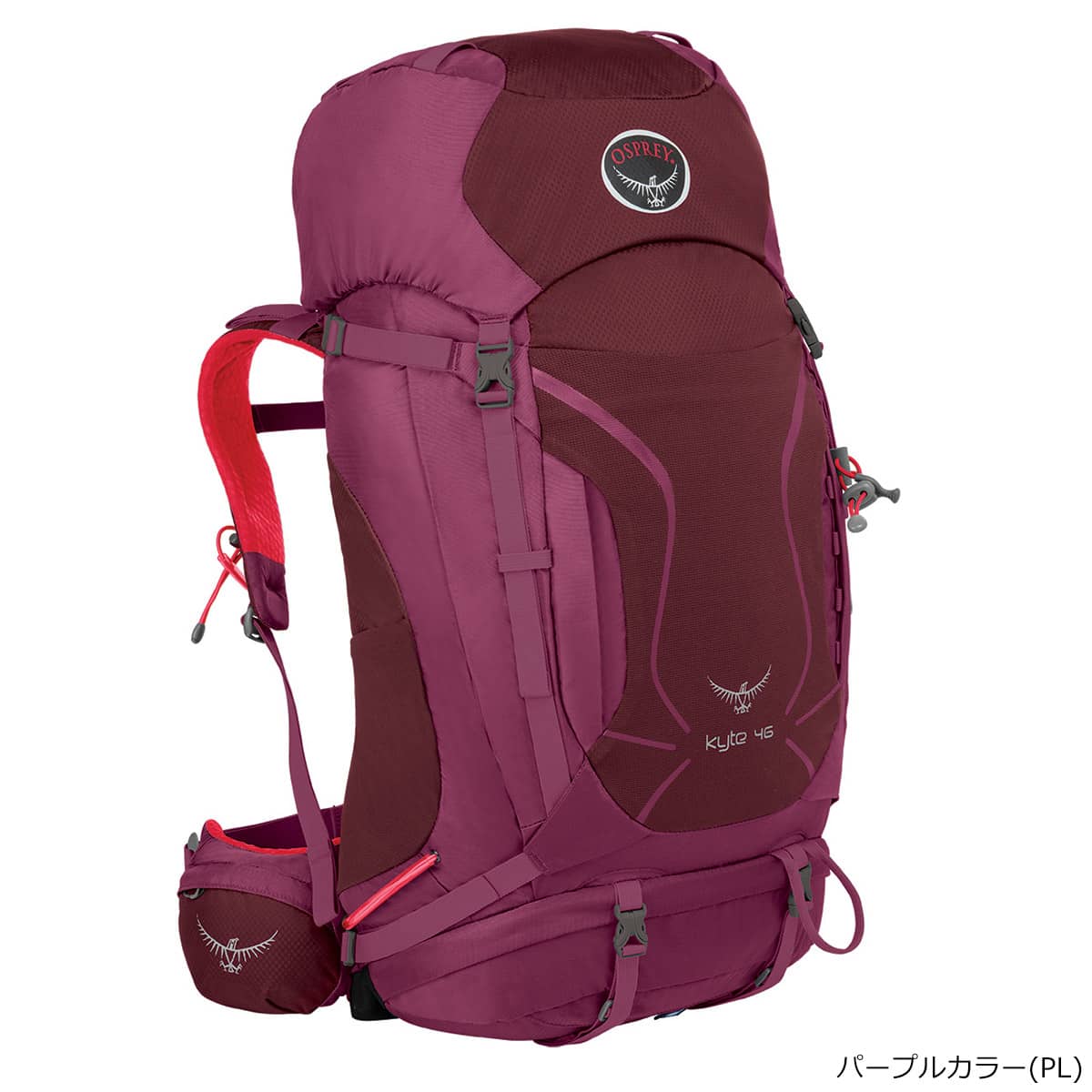 OSPREY(オスプレー) カイト 46 パープルカラー OS50155