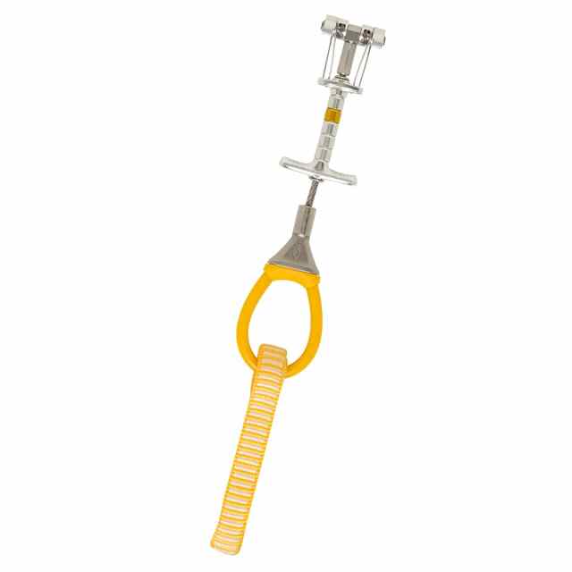 BlackDiamond(ブラックダイヤモンド) キャメロット X4 #0.2 BD11060