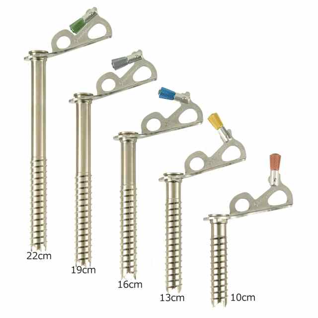 BlackDiamond(ブラックダイヤモンド) エクスプレスアイススクリュー