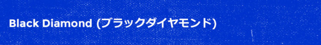 ブラックダイヤモンド ブランドページ
