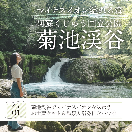 菊池渓谷でマイナスイオンを味わう お土産セット＆温泉入浴券付きパック