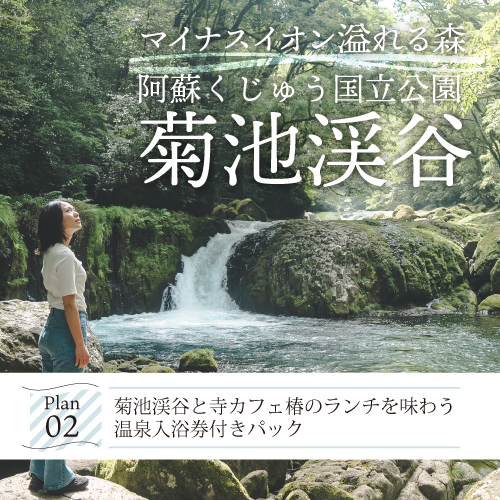 菊池渓谷と寺カフェ椿のランチを味わう 温泉入浴券付きパック