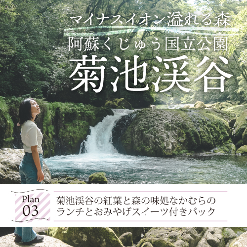 菊池渓谷の紅葉と森の味処なかむらのランチとおみやげスイーツ付きパック