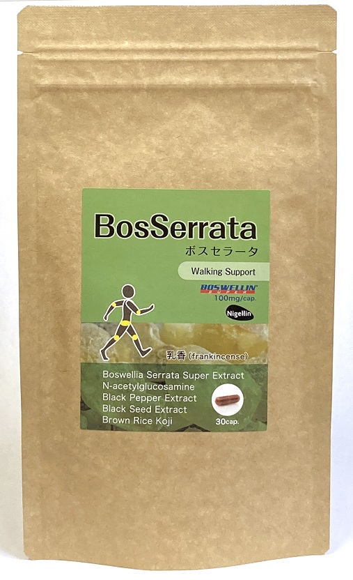 ボスセラータ BosSerrata（30カプセル） ボスウェリア N-アセチルグルコサミン 非変性プロテオグリカン 【メール便発送・送料無料】