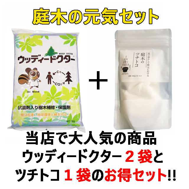 【庭木の元気セット２】ウッディードクター２袋＋庭木のツチトコ１２０g １袋　殺菌剤入樹木補修・保護剤 　木の空洞(うろ)に  弱った木に　木の代謝改善に