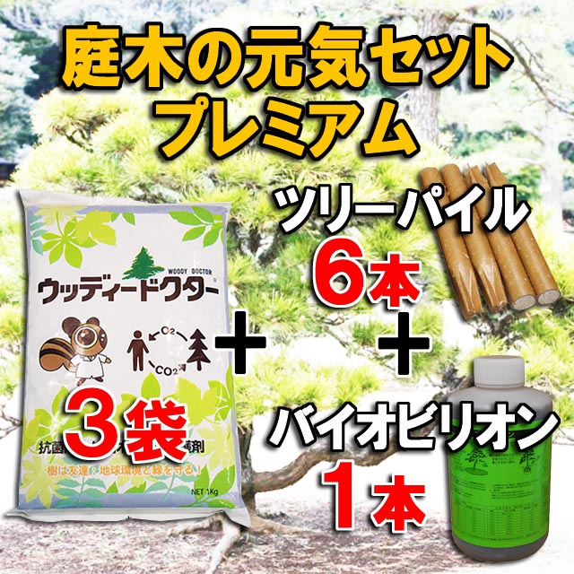 【庭木の元気セットプレミアム３】ウッディードクター３袋＋ツリーパイル ６本＋バイオビリオン １本　殺菌剤入樹木補修・保護剤 　木の空洞(うろ)に 弱った木に　木の代謝改善に