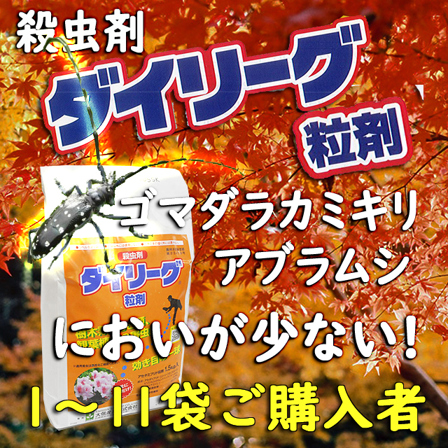 ダイリーグ粒剤　殺虫剤　１～１１袋ご購入者　アブラムシ　カエデのゴマダラカミキリ　テッポウムシ対策　臭いが少ない　効果が持続