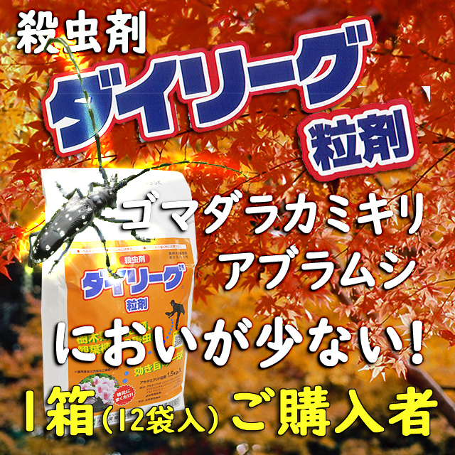 ダイリーグ粒剤　殺虫剤　１箱(１２袋入)ご購入者　梱包特価　アブラムシ　カエデのゴマダラカミキリ　テッポウムシ対策　臭いが少ない　効果が持続