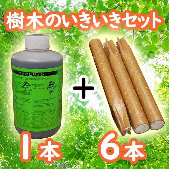樹木のいきいきセット２　肥料　根を活性化　打込肥料　衰弱樹木　桜・松・その他樹木