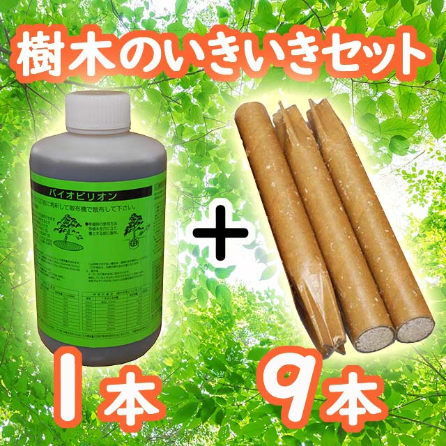 樹木のいきいきセット３　肥料　根を活性化　打込肥料　衰弱樹木　桜・松・その他樹木