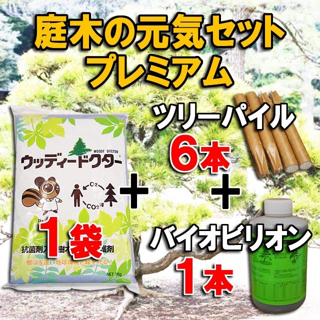 【庭木の元気セットプレミアム１】ウッディードクター１袋＋ツリーパイル ６本＋バイオビリオン １本　殺菌剤入樹木補修・保護剤 　木の空洞(うろ)に 弱った木に　木の代謝改善に
