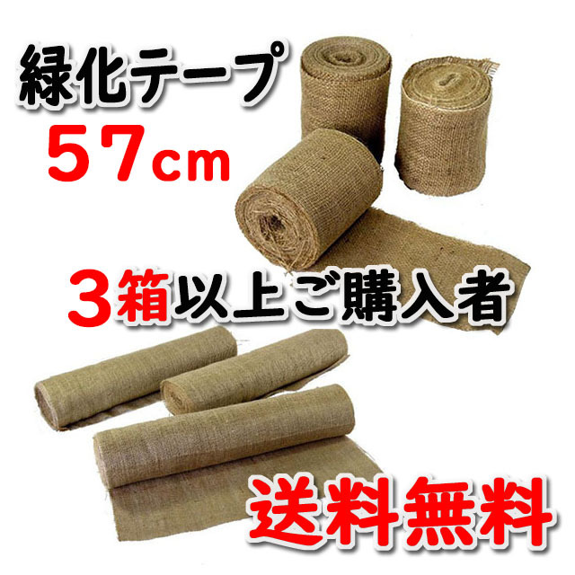 【緑化テープ ＃５７０】 ５７ｃｍ×２０ｍ 両耳ジュート掛 インド製 ９巻入/箱 ３箱以上ご購入者　★送料無料★ 天然素材 造園資材