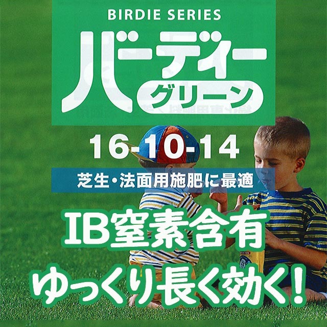 バーディーグリーン  緑化専用肥料 芝生・法面用  緩効性ＩＢチッソ含有