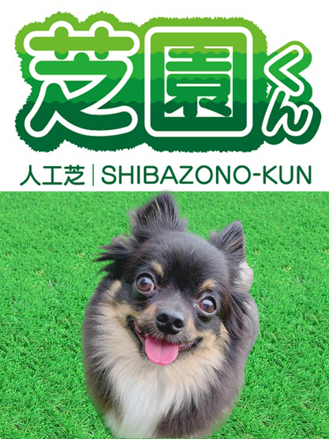 リアル人工芝 抗菌・防炎仕様 【芝園くん】 １×１０ｍ巻