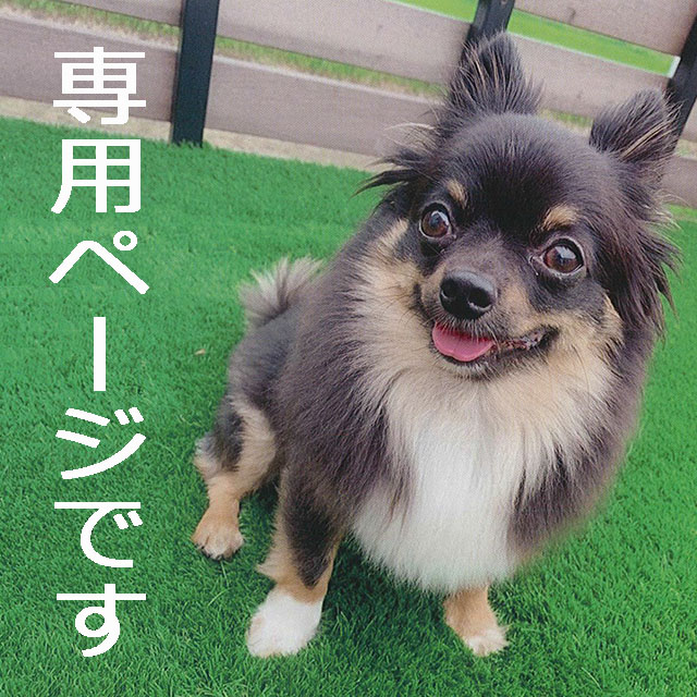 TOP　HOUSE株式会社様　専用