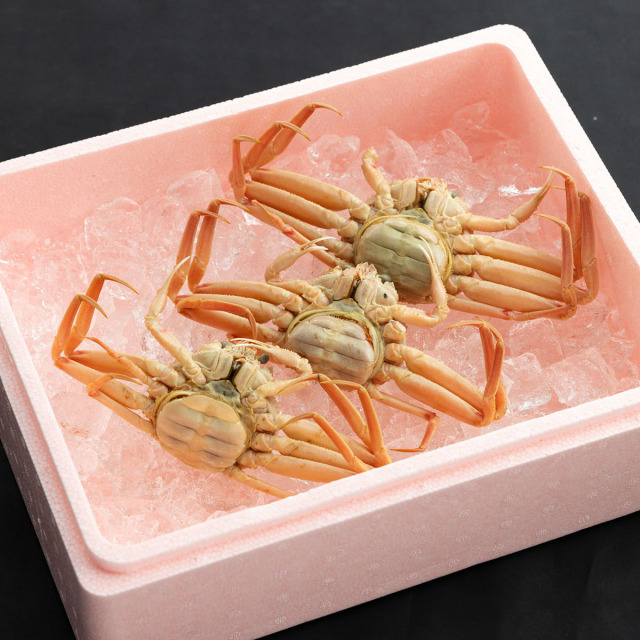 兵庫県産セコカニ2尾セット