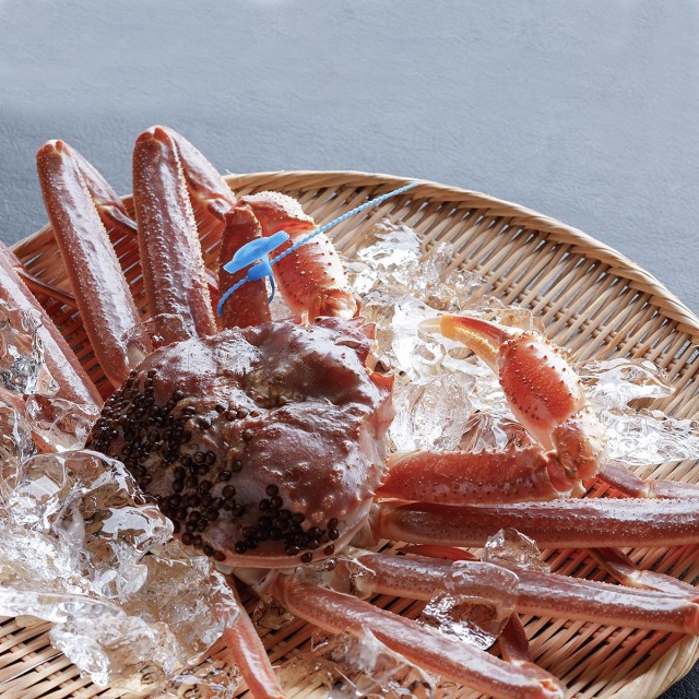 兵庫県産 松葉ガニ