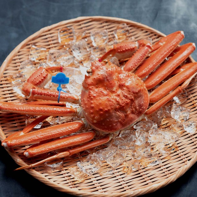 兵庫県産 活松葉ガニ ゆで津居山がに