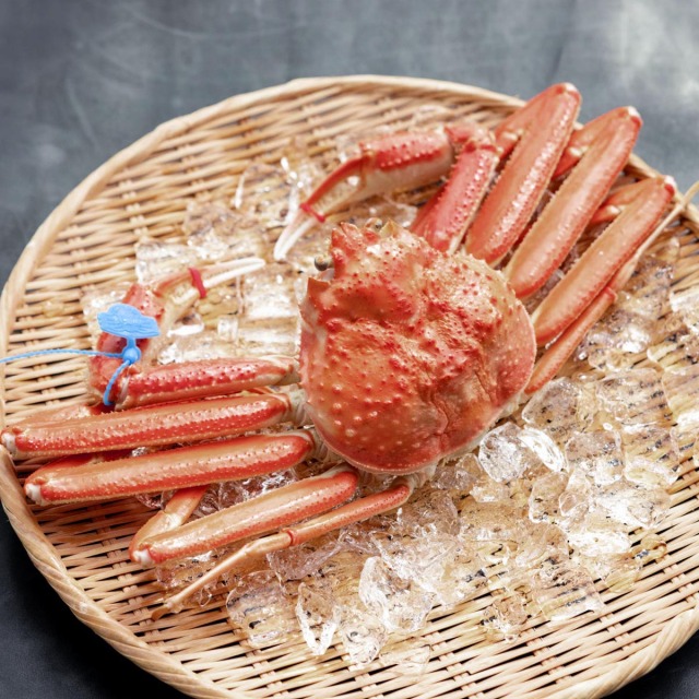 兵庫県産松葉ガニ タグ付き