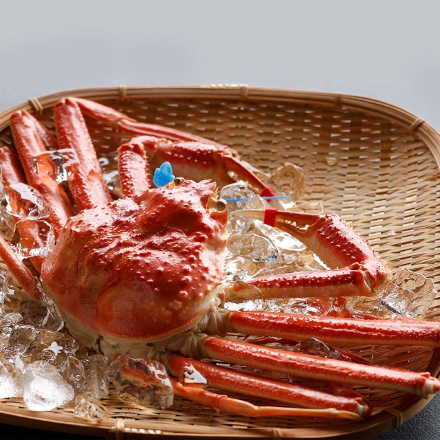 兵庫県産 松葉ガニ ボイル