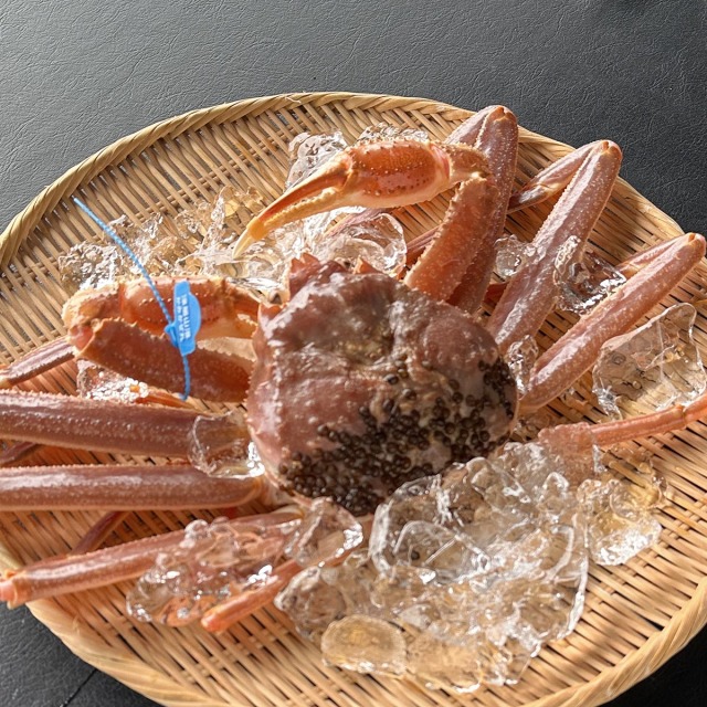 兵庫県産 活松葉ガニ 活津居山がに