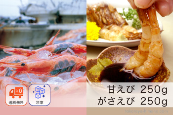 越前産えび 食べ比べ セット (甘えび 250g、がさえび 250g) 福井産 【冷凍】