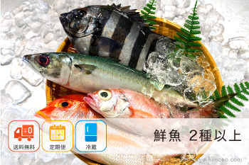 【定期便】鮮魚 おまかせ セット 2種【冷蔵】