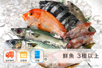 【定期便】鮮魚 おまかせ セット 3種【冷蔵】