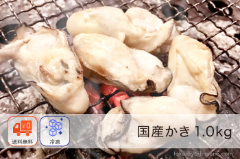 国産かき 1.0kg(30粒前後) 牡蠣フライ アヒージョ BBQ バーベキュー【冷凍】